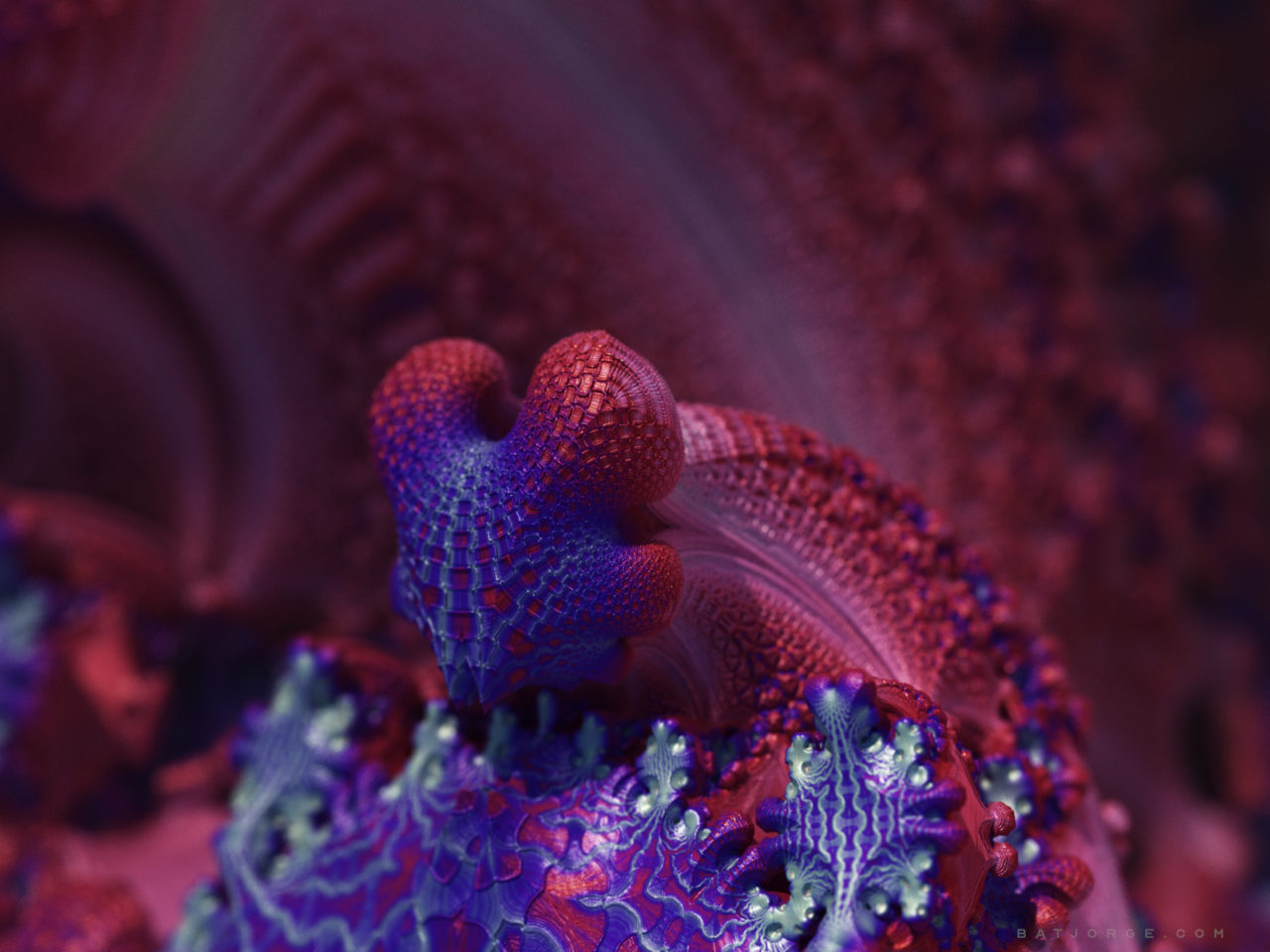 3d abstract fractal dragon. rotbox