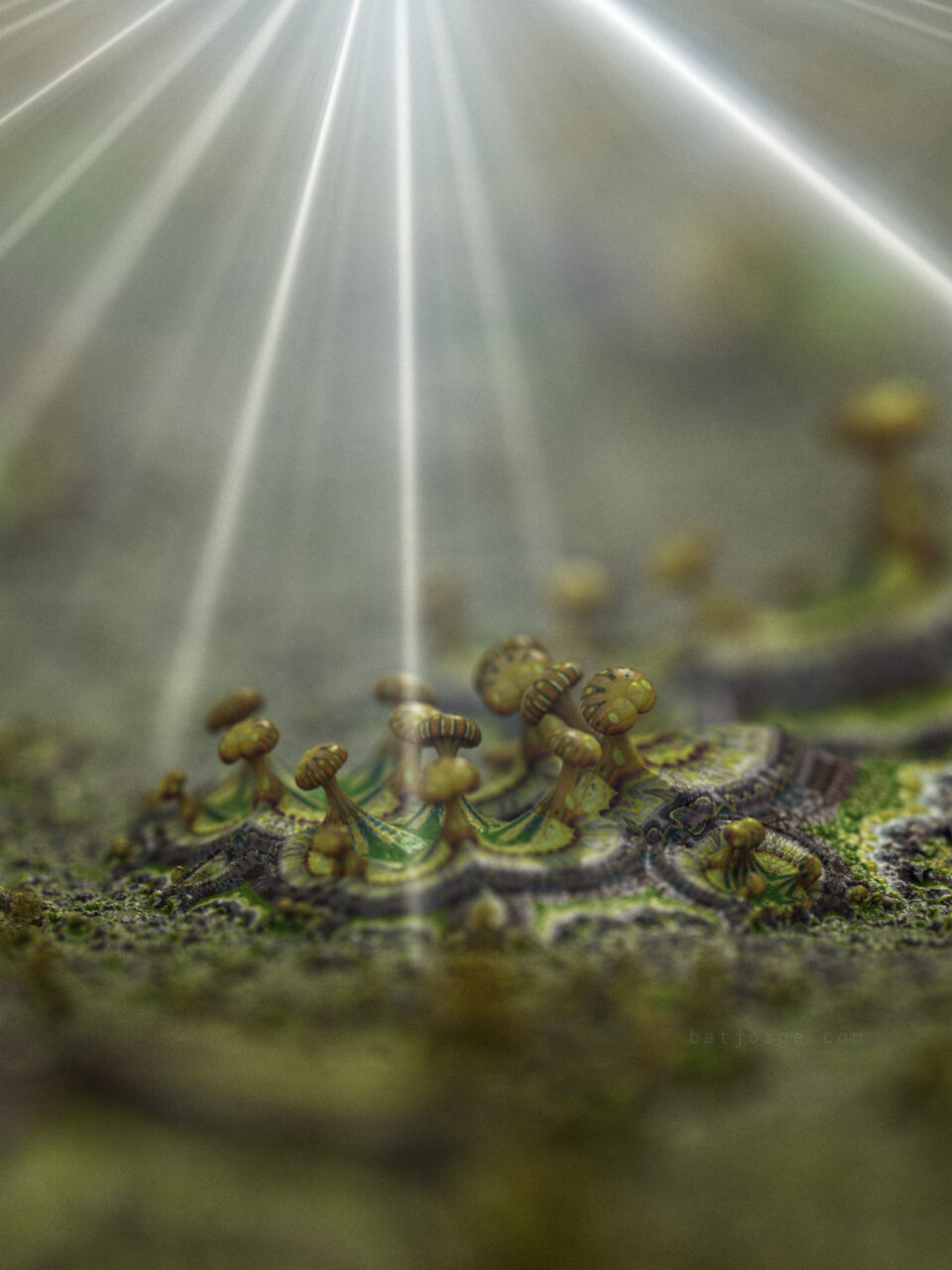 Mandelbulber 2.33. Amazing Surf - M3D