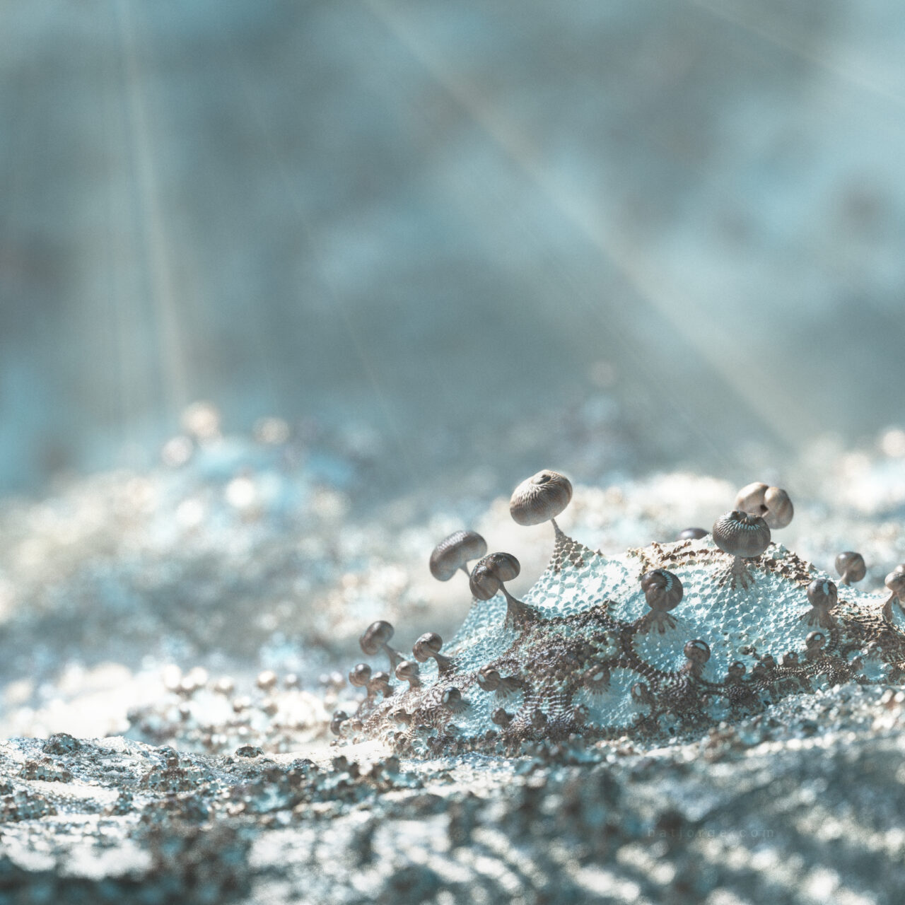 Mandelbulber 2.34. Amazing Surf - M3D