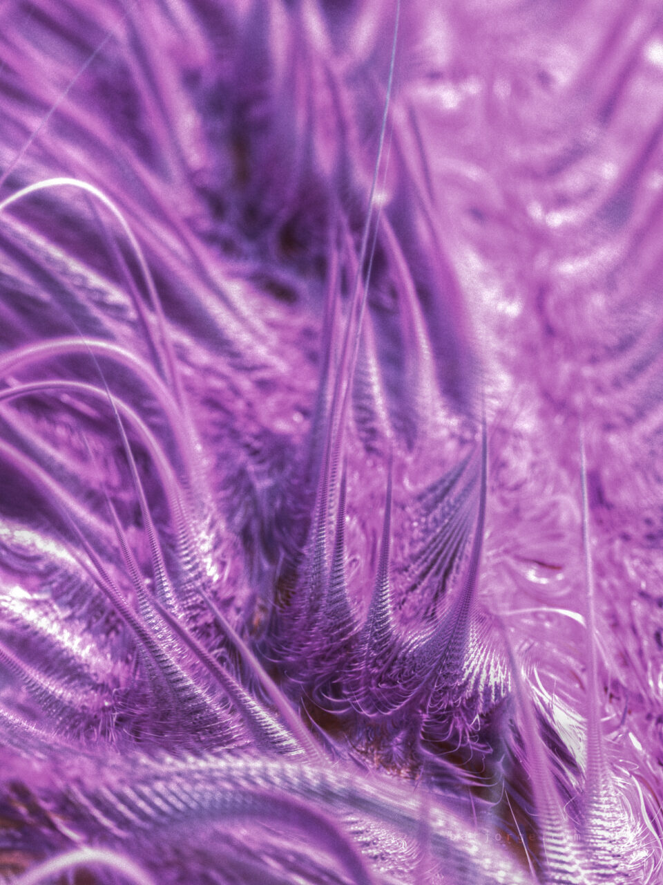 Mandelbulber 2.34. T>Inverse Cylindrical, T>Scale OffsetV2, T>SinCos, Mandelbulb - Modulus