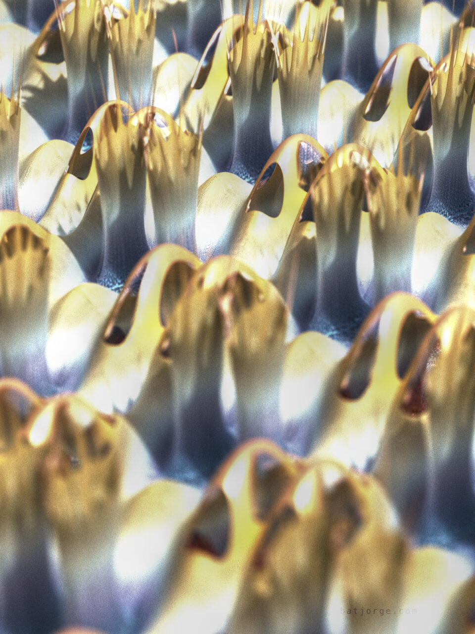Mandelbulber 2.34. T>Inverse Cylindrical, T>Sin And Cos - Max, T>SinCos, Mandelbulb - Modulus