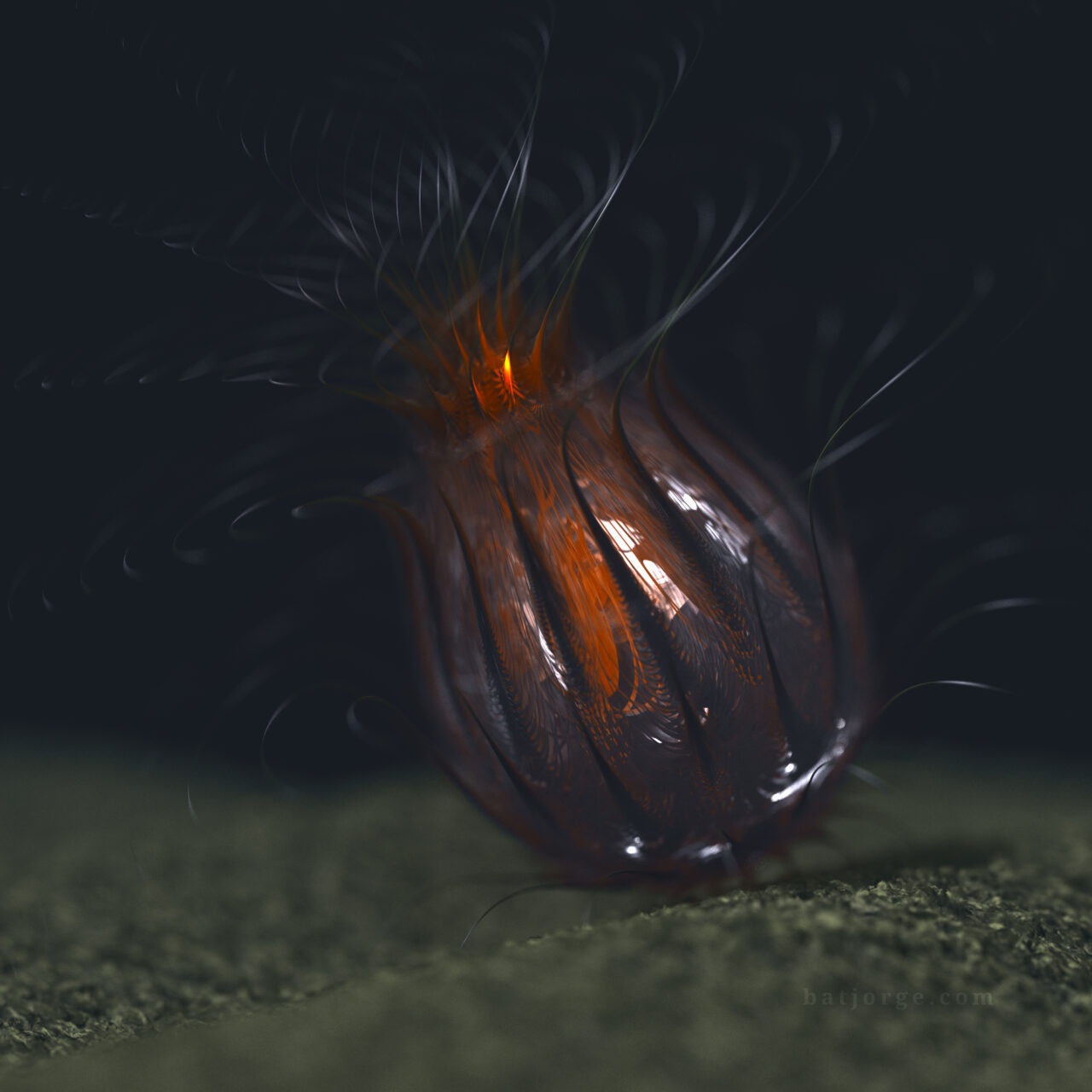 Mandelbulber 2.34. T>Spherical Invert V4, T>SinCos, Mandelbulb - Modulus